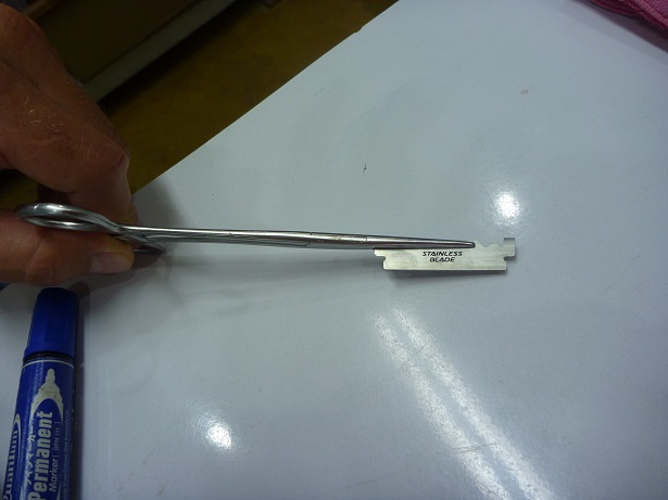 Streunerkatze Untersuchung 4