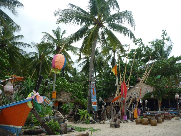 Streunerkatze Vorgeschichte 1