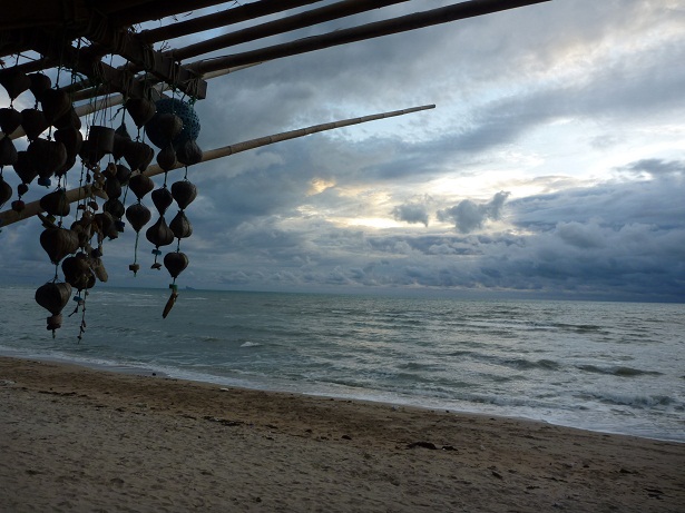 Streunerkatze Vorgeschichte 2