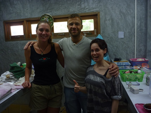 Streunerkatze Wissenschaftliches 1