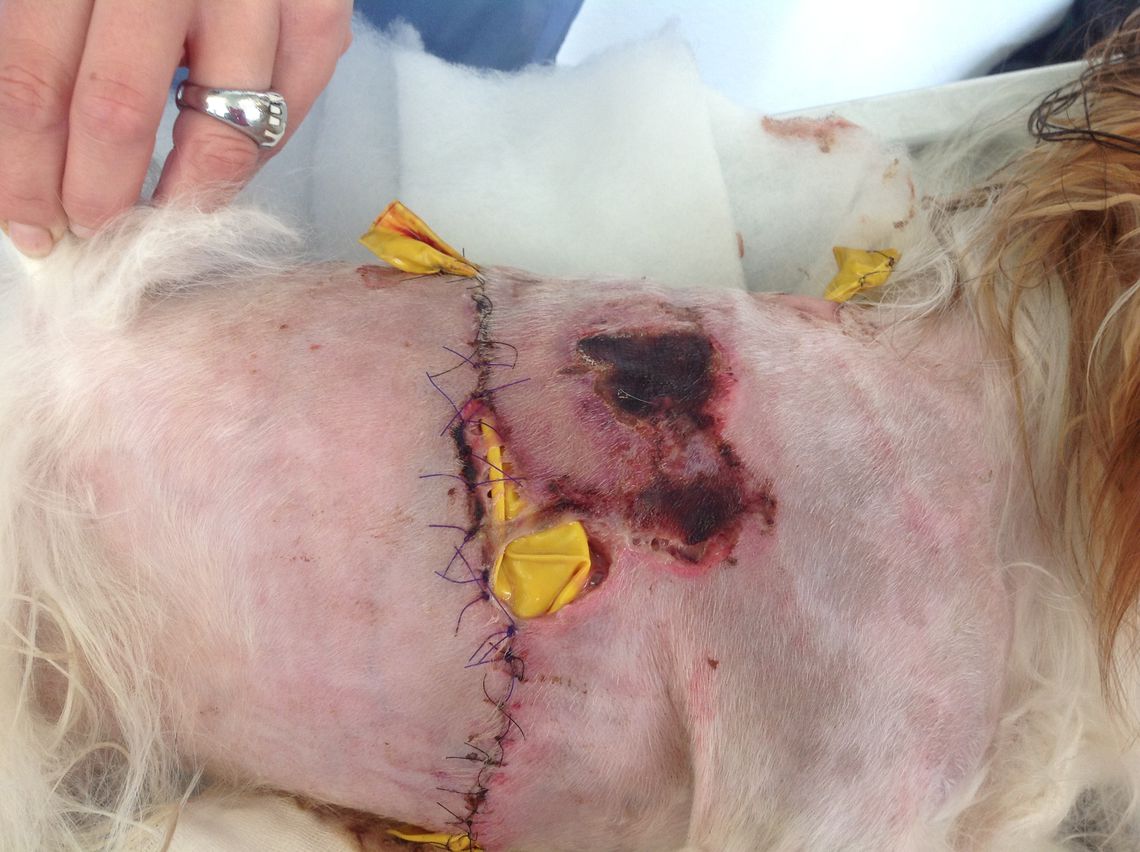 Angel Weiterer Verlauf 1