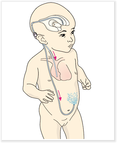 Charly Wissenschaftliches