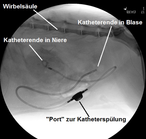 Manolo Weiterer Verlauf 2