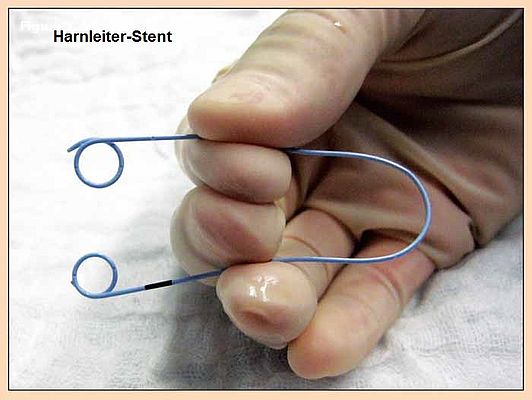 Manolo Wissenschaftliches 1