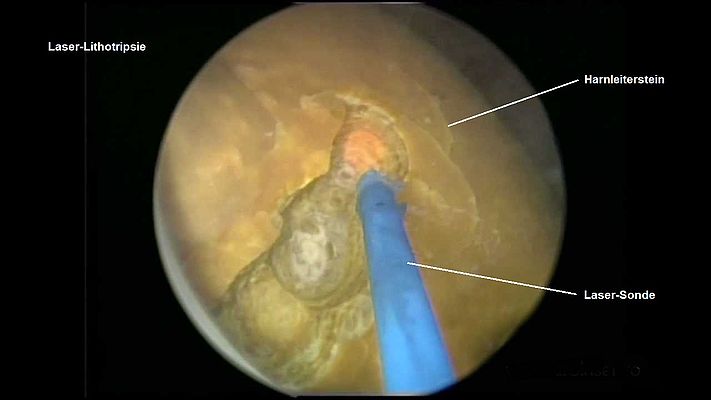 Manolo Wissenschaftliches 2