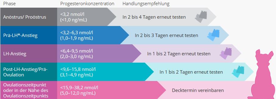 Algorithmus zur Deckzeitpunktbestimmung - Copyright: IDEXX