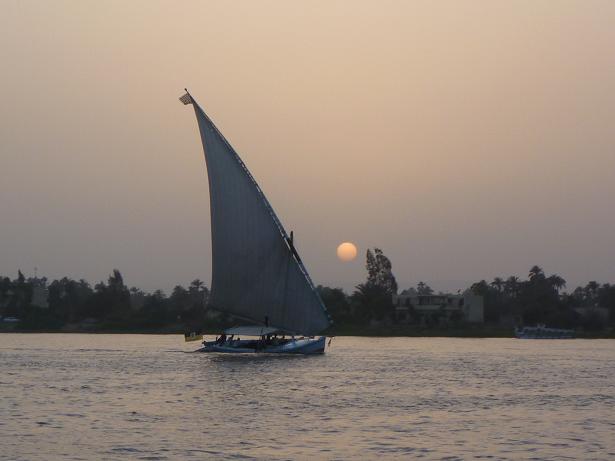 Animal Welfare of Luxor