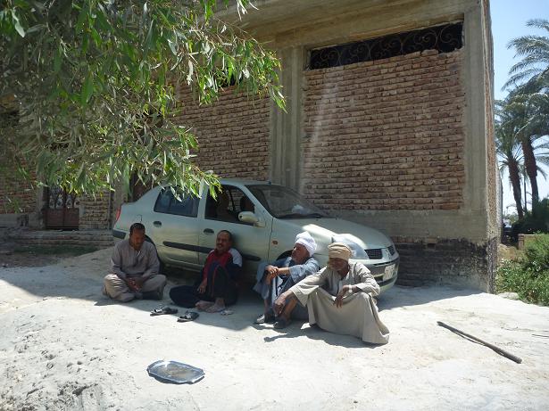 Animal Welfare of Luxor