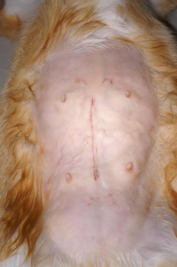 Problematische Empfängnisverhütung