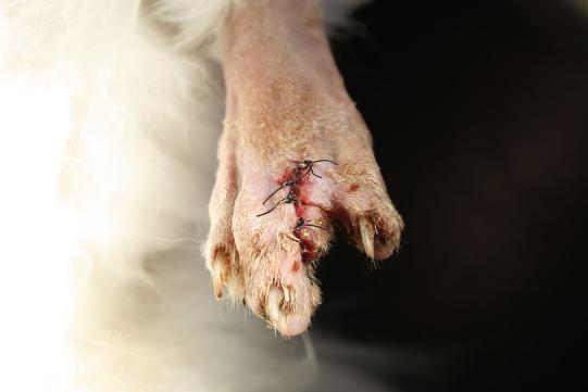 Spolk Weiterer Verlauf 1