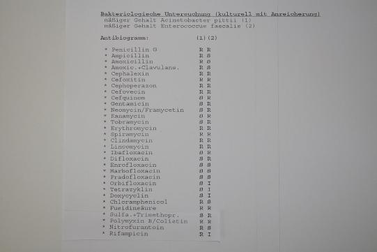 Spolk Weiterer Verlauf 2