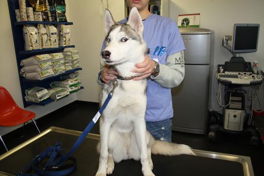 Juneau Vorgeschichte