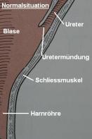 Gipsy Wissenschaftliches 1