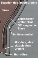 Gipsy Wissenschaftliches 3