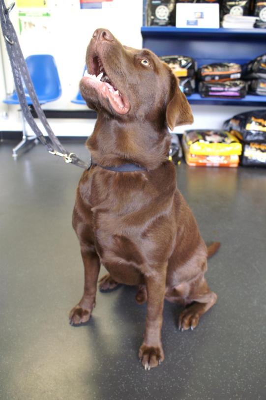 Aiko Weiterer Verlauf