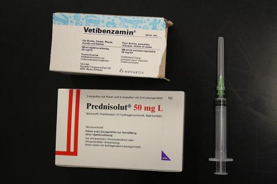 Syrah Weiterer Verlauf 1