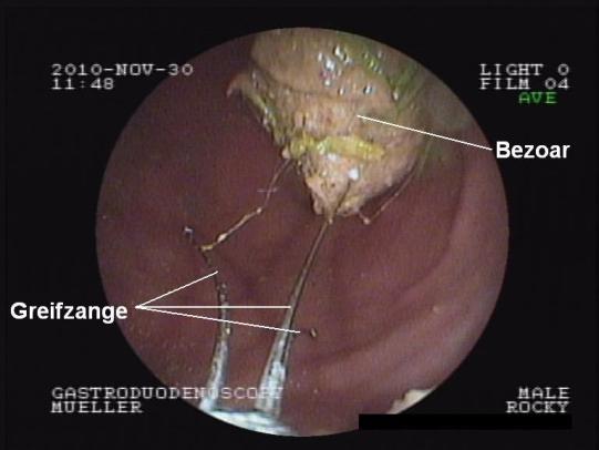 Rocky Weitere Abklärungen 1