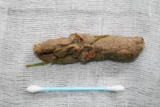 Rocky Weitere Abklärungen 2