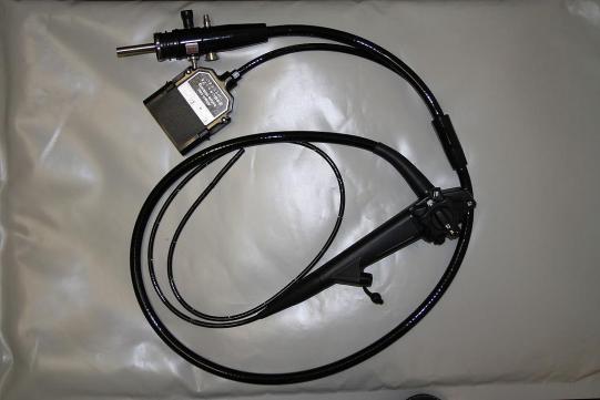 Rocky Wissenschaftliches