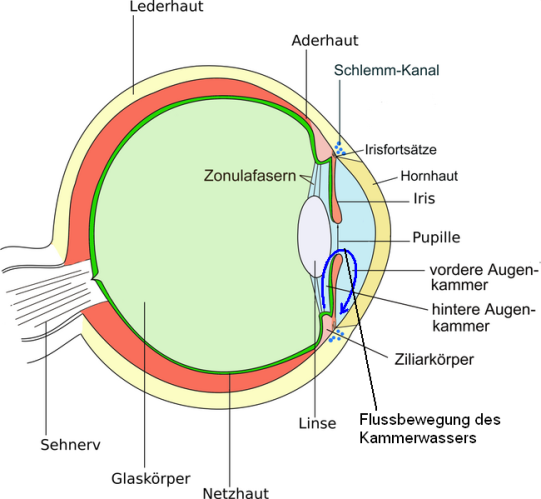 Bianca Wissenschaftliches 1