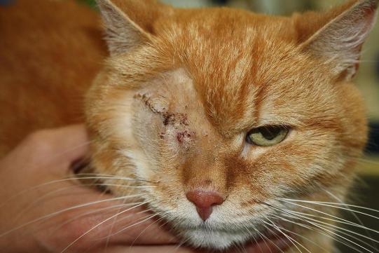 Bianca Wissenschaftliches 2