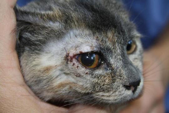 Mimi Weiterer Verlauf 2