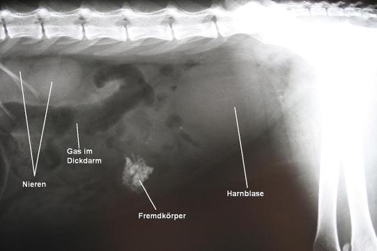 Lucifer Nachfolgeuntersuchung