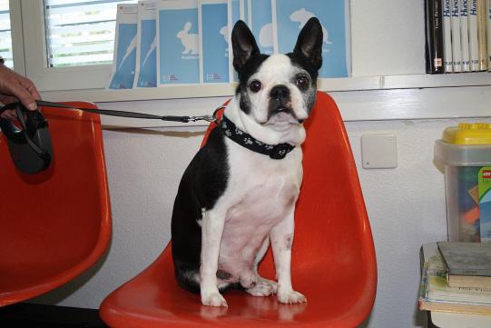 Victor Vorgeschichte