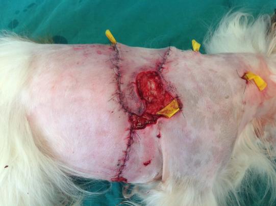 Angel Weiterer Verlauf 2