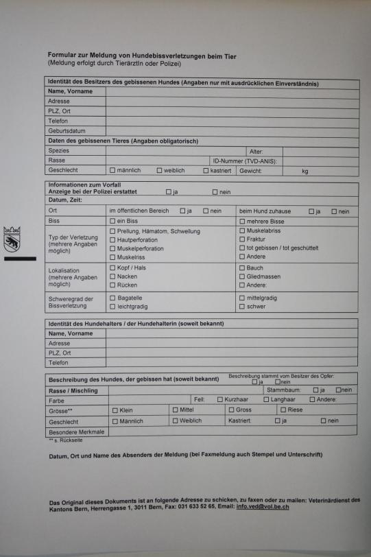 Angel Wissenschaftliches 1