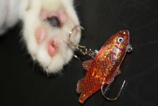 Chelsea Problemstellung 2