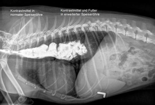 Jago Kontraströntgen