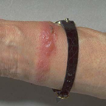 Tara Wissenschaftliches