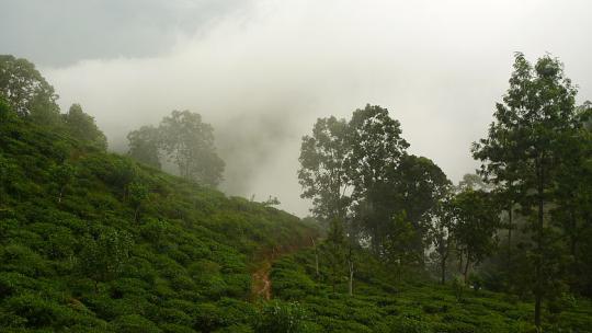 Sri Lanka Vorgeschichte 2