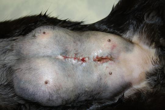 Babette Weiterer Verlauf 1