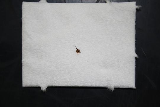 QB Wissenschaftliches