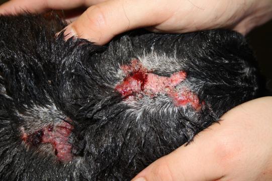 Abklärung: Äussere Untersuchung