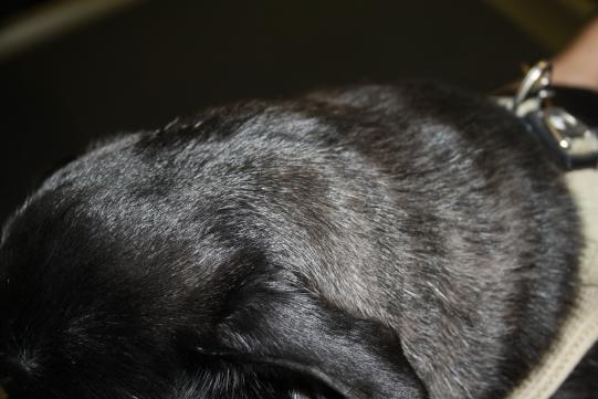 Therapie und weiterer Verlauf