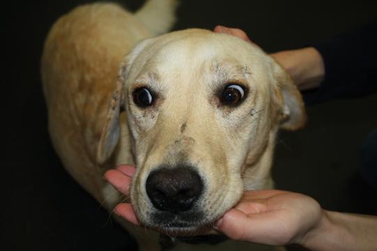 Weiterer Verlauf: 1 Woche später