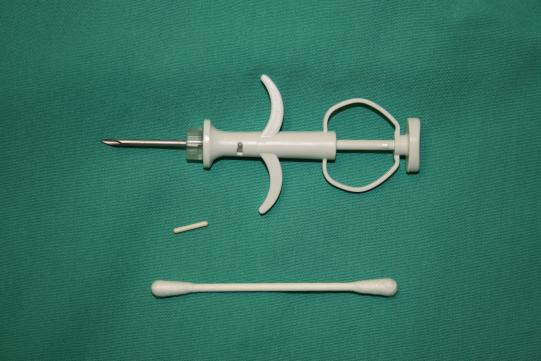 Der Mikrochip beim kleinen Haustier