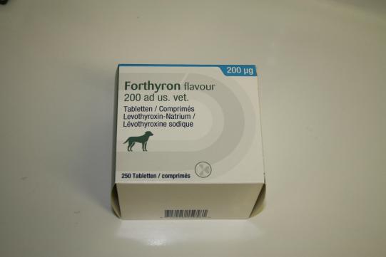 Nachkontrolle und weiterer Verlauf