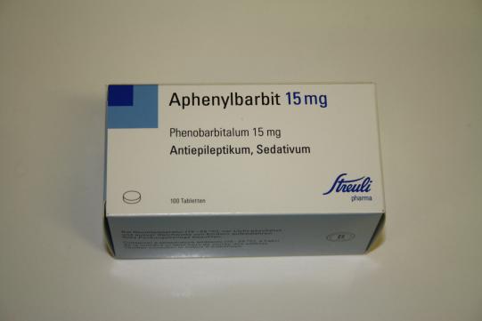 JIMI, Hauskatze, männlich-kastriert, 7 Jahre alt 