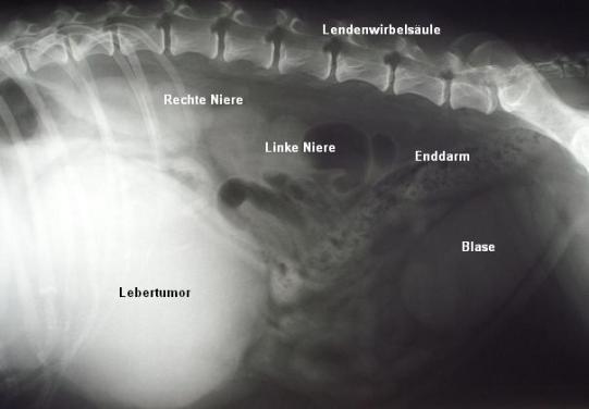 KaenelRoeBearbeitetText_01