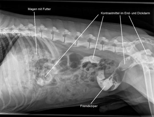 Diagnosesicherung und Therapie
