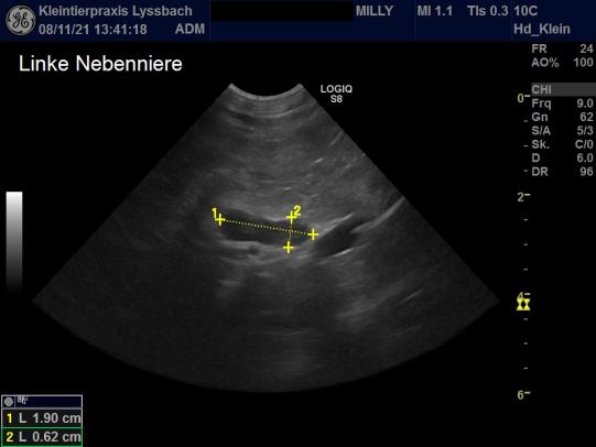 Linke Nebenniere Milly