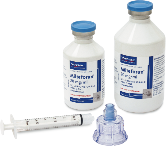 Therapie und weiterer Verlauf