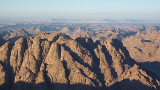 Animal Welfare of Luxor