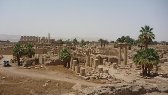 Animal Welfare of Luxor