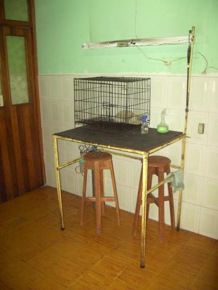 Lyssbachs Vétérinaires sans Frontières