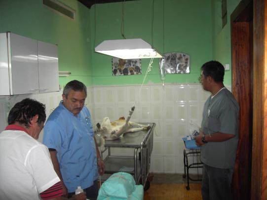 Lyssbachs Vétérinaires sans Frontières